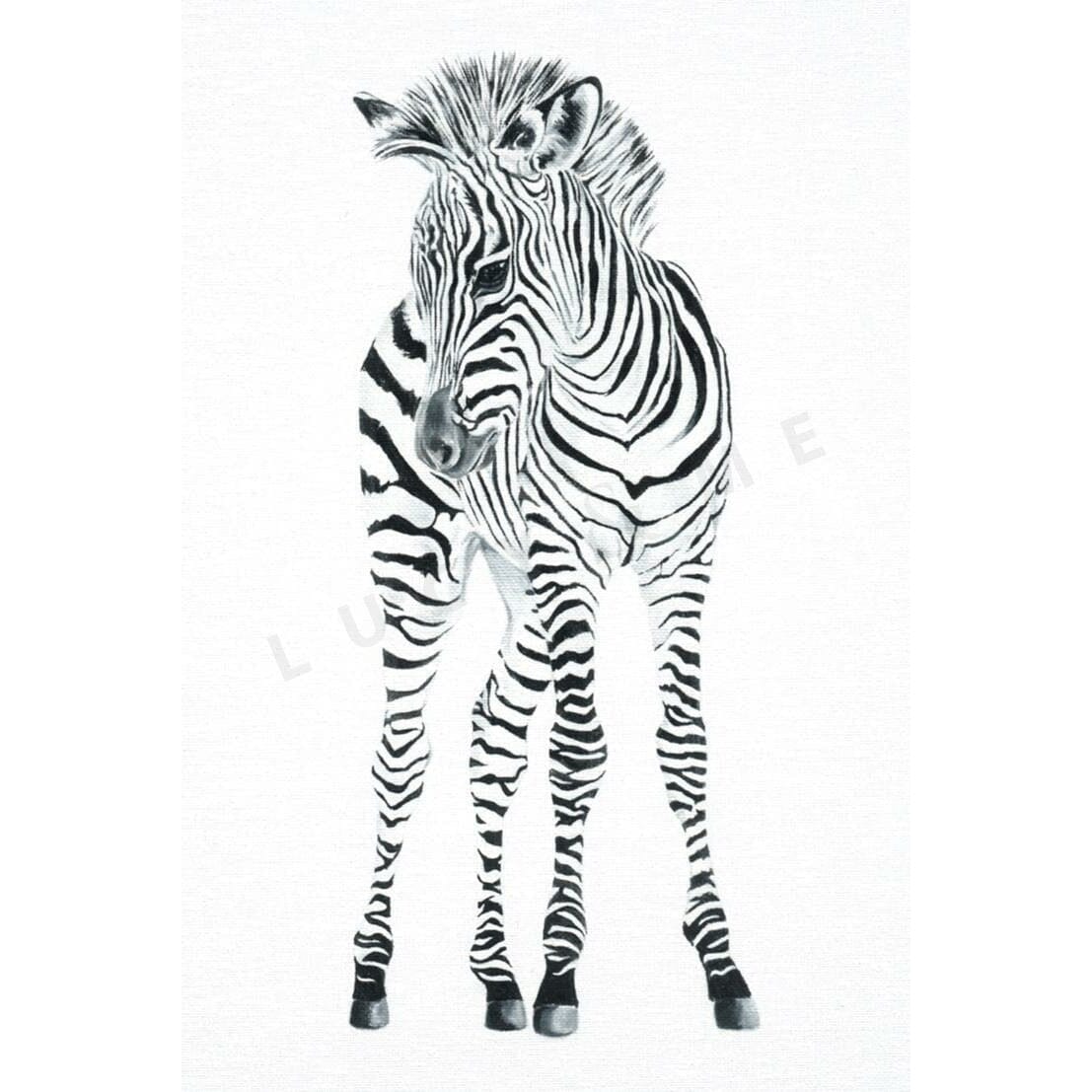 FREDDIE - BABY ZEBRA Print Lucy & Me