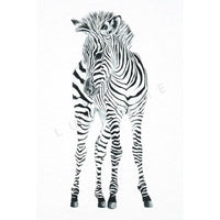 FREDDIE - BABY ZEBRA Print Lucy & Me