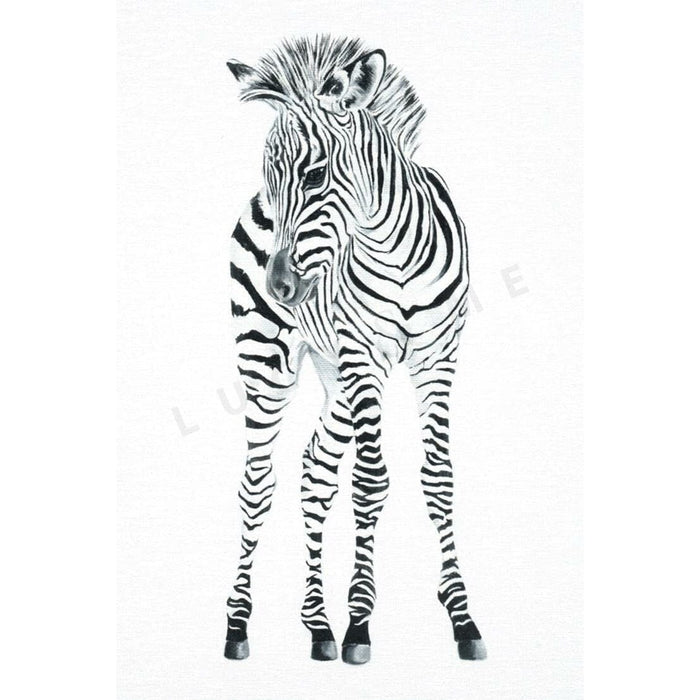FREDDIE - BABY ZEBRA Print Lucy & Me
