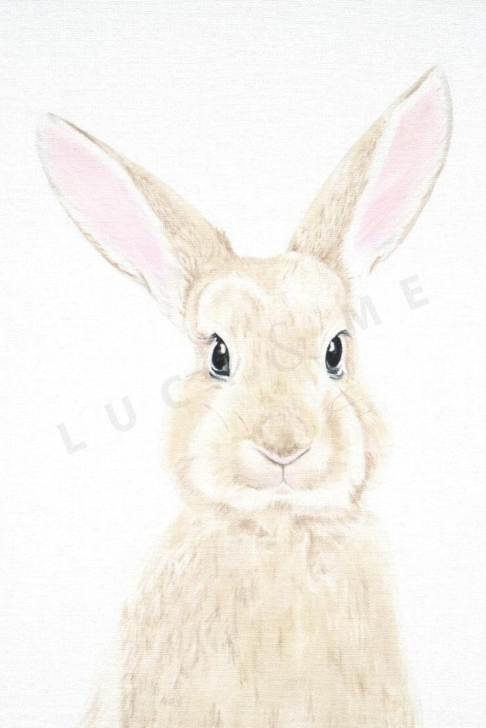MILA - LITTLE BUNNY Print Lucy & Me