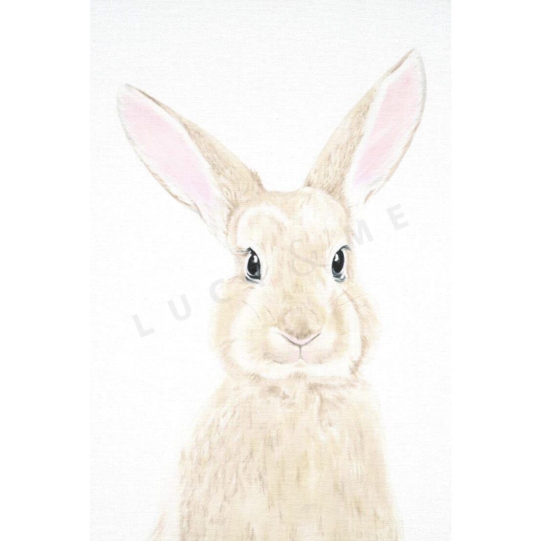 MILA - LITTLE BUNNY Print Lucy & Me