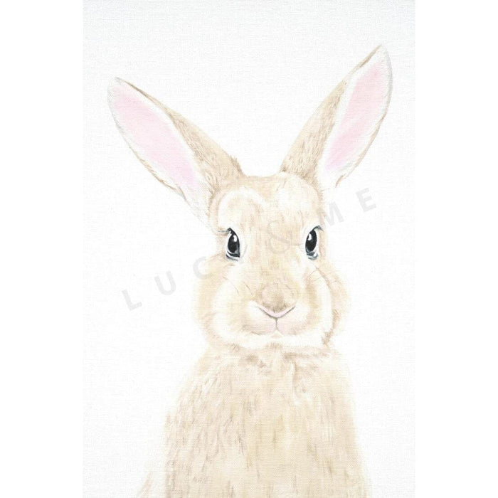 MILA - LITTLE BUNNY Print Lucy & Me